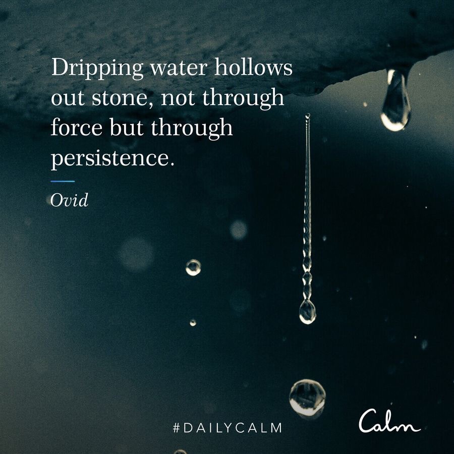 A quote from Ovid, "Dripping water hollows out stone, not through force but persistence."